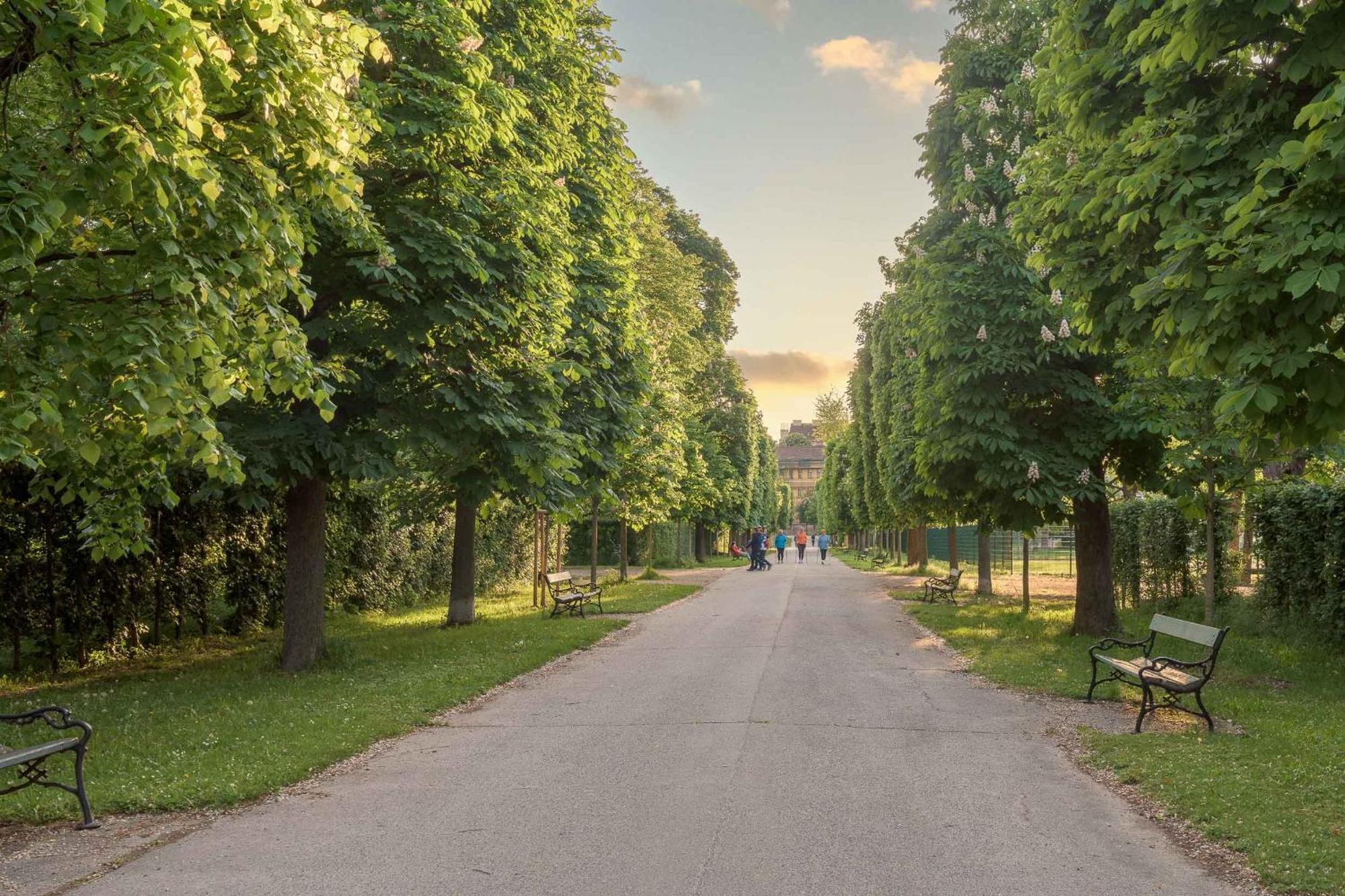 Limehome Vienna Karajangasse Dış mekan fotoğraf